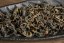 Wushe High Mt. Cliff-Grown Oolong 2023 - 30g