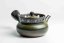 Fujii Ikkyuu Ash Glazed Yohen Banko - 170ml