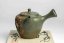 Shunen Mano Double-layer Plum Blossom Kyusu - 250 ml