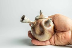 Taisuke Shiraiwa Yohen Kyusu - 180ml (left-handed)