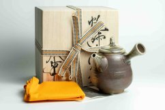 Taisuke Shiraiwa Yohen Kyusu  - 170ml