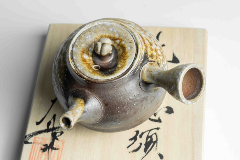 Taisuke Shiraiwa Yohen Kyusu  - 190ml