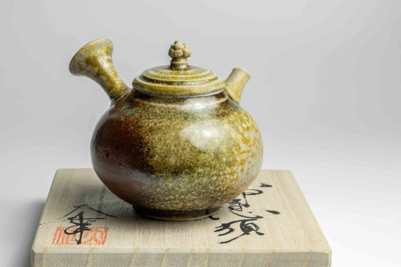 Taisuke Shiraiwa Yohen Kyusu  - 170ml