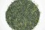 Kagoshima Saemidori Kabusecha 2025 - 50g