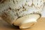 Shozo Tanigawa Tenmoku Chawan
