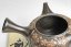 Shunen Mano Engraved Kyusu - 260 ml
