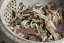Chiang Rai Gushu Bai Cha 2026 - 100g