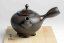 Koshin Marble Seaweed Kyusu - 300ml