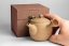 Shinzan Morioka Vintage Kyusu - 250ml