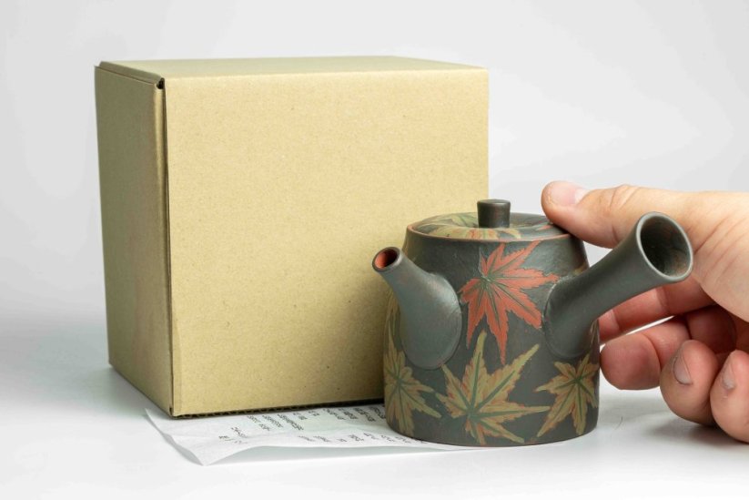 Seiho - Tsuzuki Takao Momiji Kyusu - 210ml