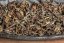 Darjeeling Takdah Honey Golden SF2026 - 50g