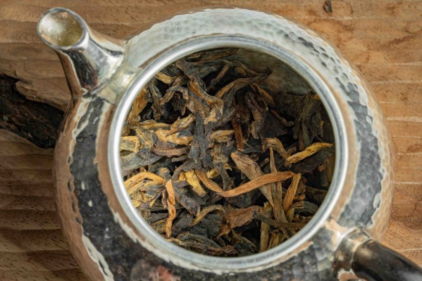 Xigui Manglu Mountain Gushu Tree Cake 2009 - 400g