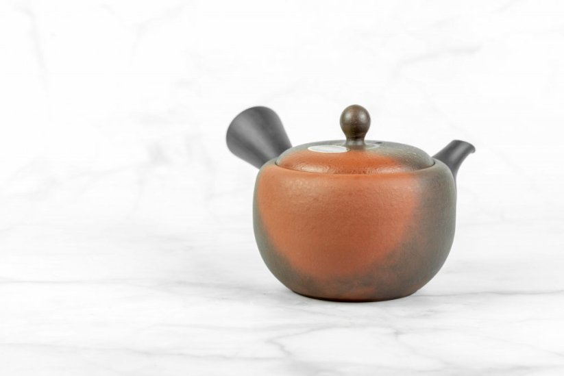 Tokoname Kyusu - 190 ml