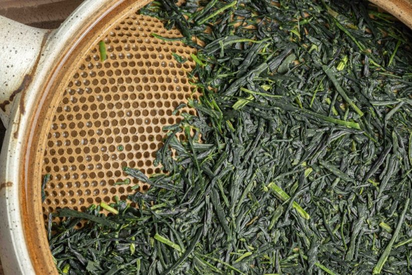 Kagoshima Saemidori Kabusecha 2026 - 50g