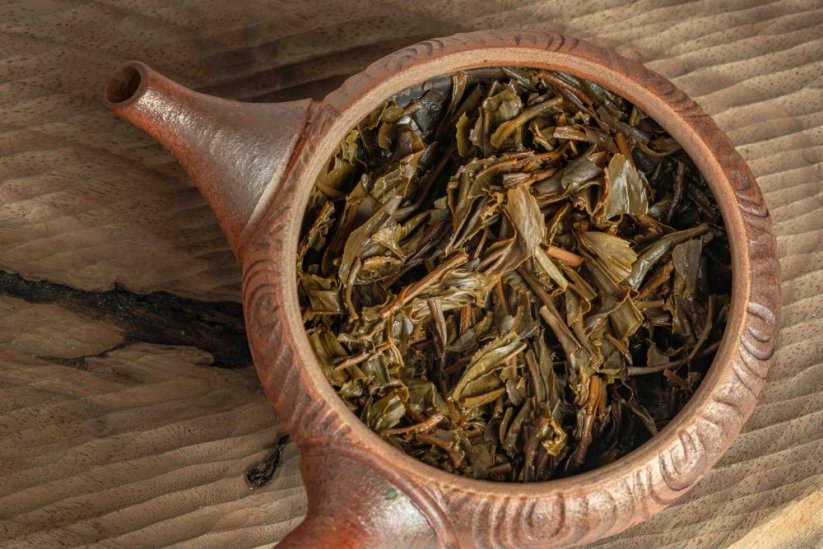 Haibara Yabukita Microfermented Oolong 2025 - 30g