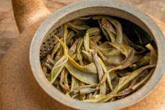Yiwu Maocha Spring Mountains 2025 - 30g
