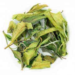 Qi Yun TTES.23 PQM 2025 - 50g