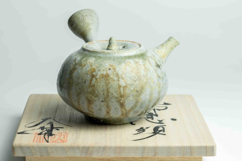 Taisuke Shiraiwa Yohen Kyusu  - 150ml