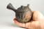 Shoyo Itoh Flowers Kyusu - 250ml