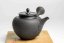 Seiho - Tsuzuki Takao - Black Kyusu - 270ml