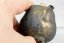 Jhang Jhensing Moonglaze no.1 - 70 ml