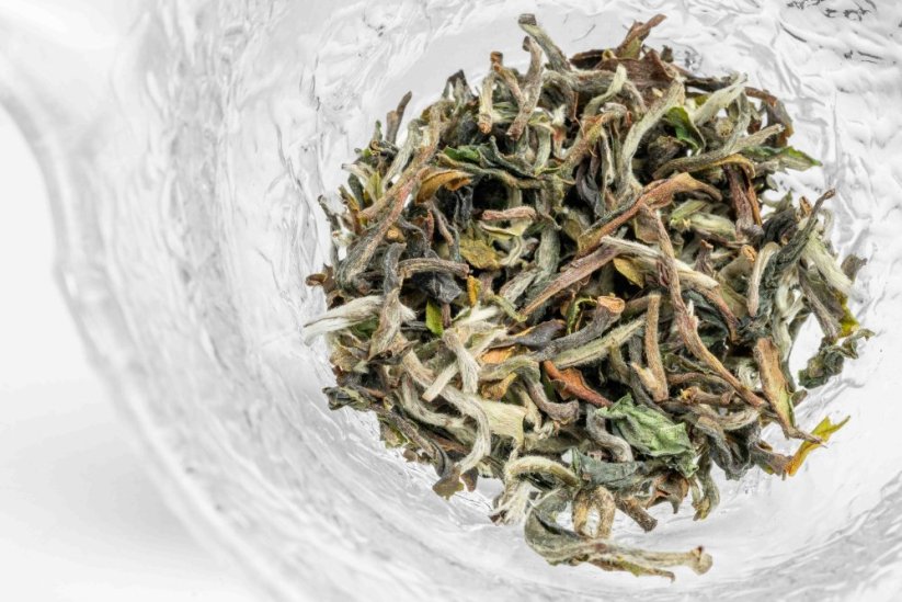 Darjeeling North Tukvar Exotica FF2025 - 50g