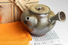 Taisuke Shiraiwa Yohen Kyusu  - 240ml