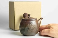 Hirotaka Umehara Yohen Pine Mountains Kyusu - 250ml