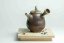 Taisuke Shiraiwa Yohen Kyusu  - 170ml