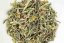 Darjeeling Rohini Hand Rolled Spring Beauty FF2026 - 50g