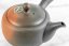 Tokoname Kyusu - 190 ml