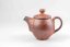 Tea Pot Shino 100ml No.1