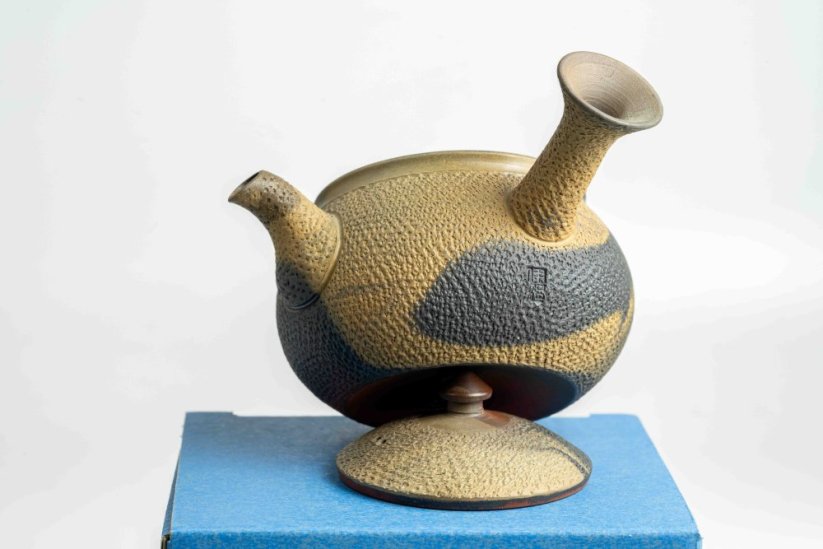 Mori Iroku IV Yohen Kyusu - 130ml