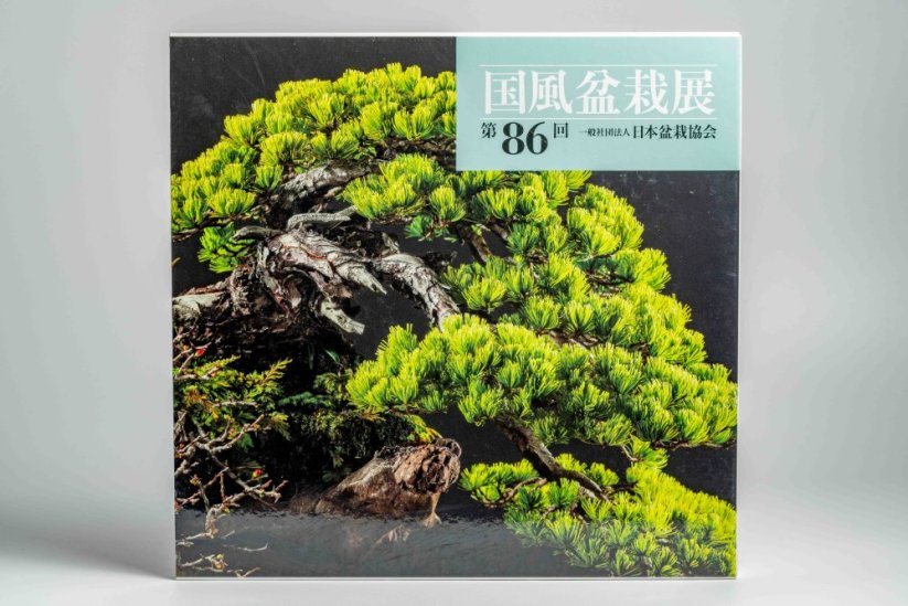 Kokufu Ten  Exhibit Books - Ročník: No.89