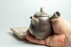 Taisuke Shiraiwa Yohen Kyusu  - 170ml