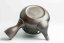 Fujii Ikkyuu Ash Glazed Yohen Banko - 170ml