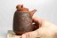 Konishi Yohei Kyusu Dragon.1 Carving - 280ml