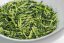 Sencha Karigane Ishidera - Kukicha 2025 - 50g