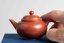 Shui Ping  Zhuni Teapot - 100ml