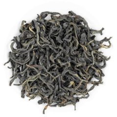 Bihar Doke Black Fusion FF 2026