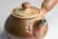 Kyusu Earth No.4 - 200ml