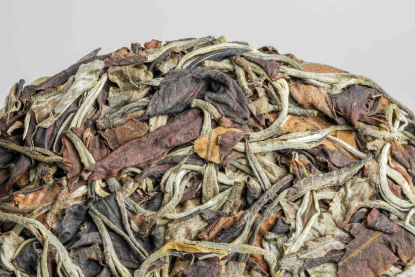Chiang Rai Gushu Bai Cha 2024 - 100g