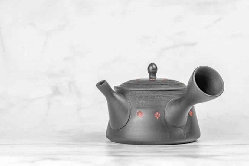 Tokoname Kyusu - 220ml