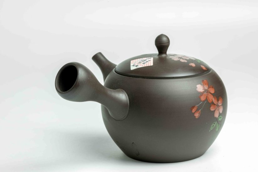 Hirotaka Umehara Red Flower Kyusu - 200ml