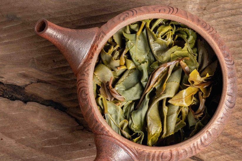 Nature Farming Gaba Green PQM 2026 - 50 g