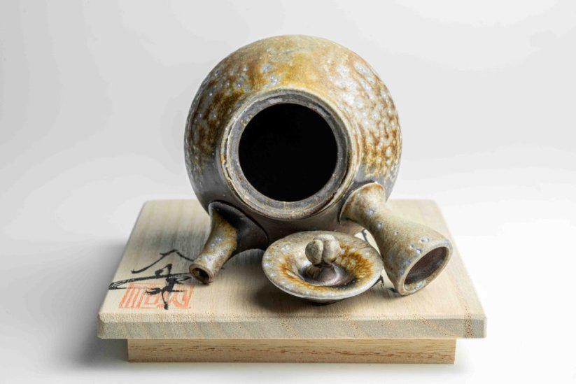 Taisuke Shiraiwa Yohen Kyusu  - 190ml