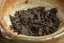 Dark Raven - Chiang Rai Gushu Shu Cha 2025 - 100g
