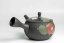 Hirotaka Umehara Red Flower Kyusu - 300ml