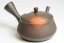 Hirotaka Umehara Fuji Shape Kyusu - 240ml