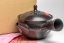 Gyokuryusaku Mogake Kyusu - 190ml